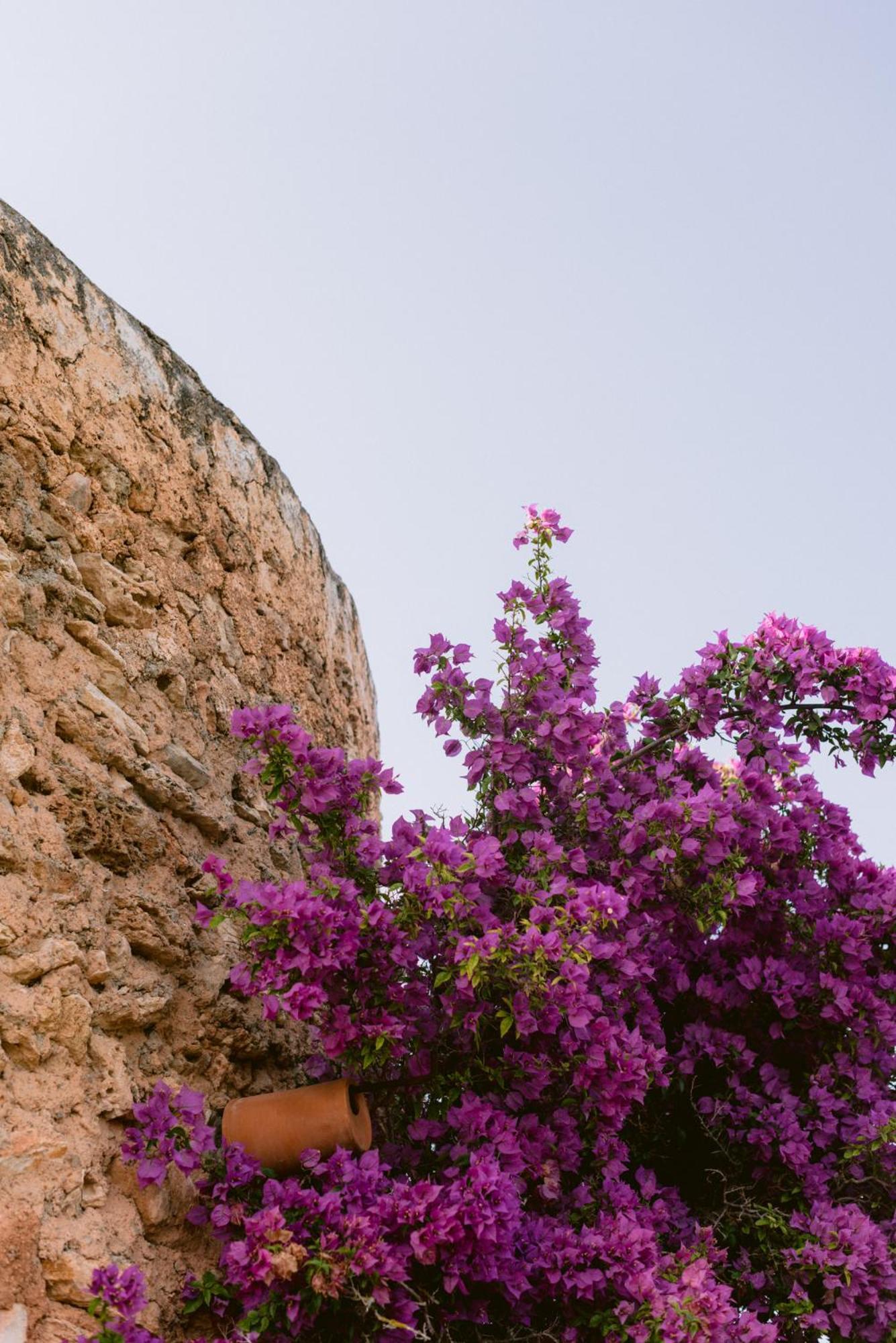 Can Quince Balafia Ibiza Hotel - Turismo De Interior Сан-Льоренс-де-Балафіа Екстер'єр фото