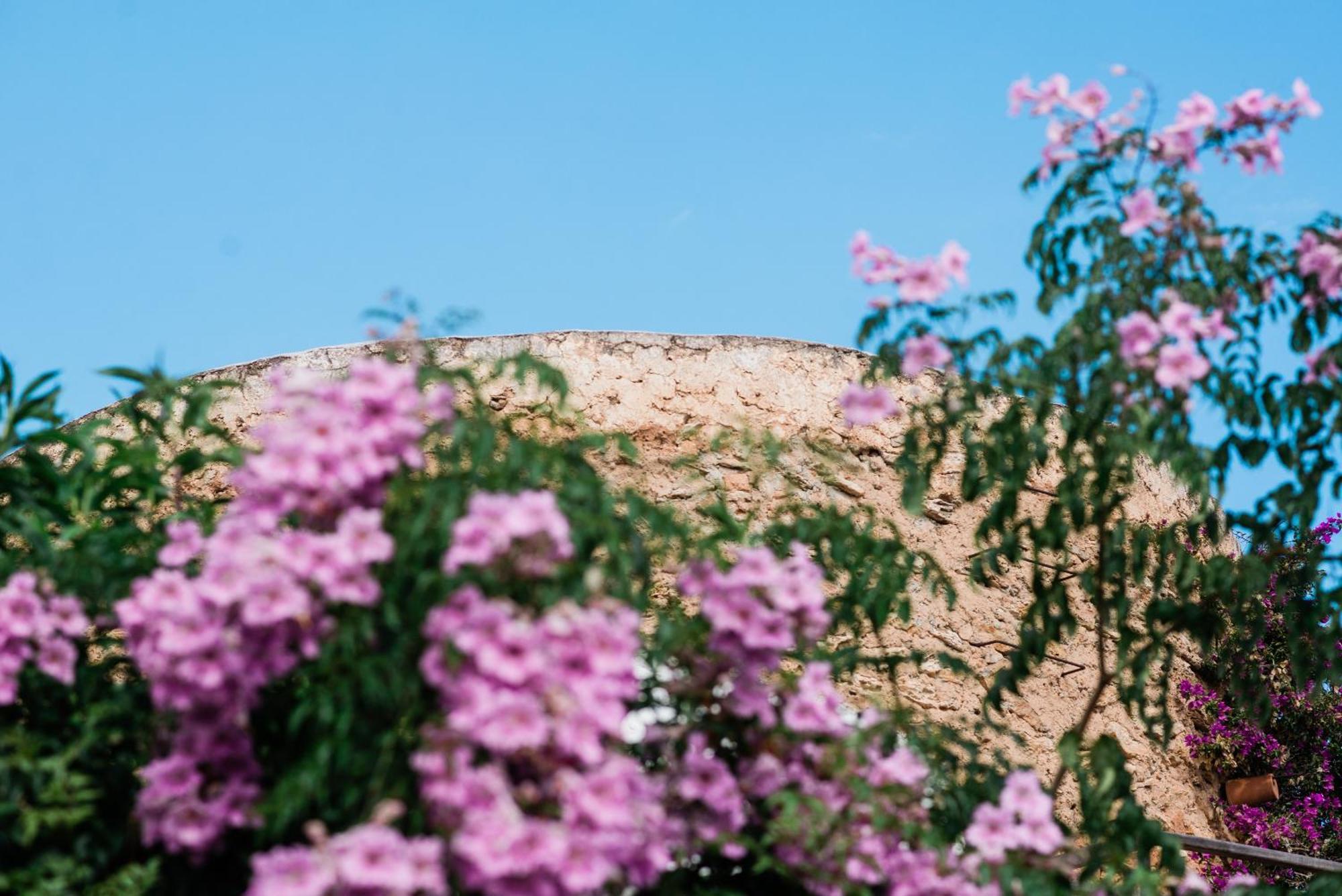 Can Quince Balafia Ibiza Hotel - Turismo De Interior Сан-Льоренс-де-Балафіа Екстер'єр фото