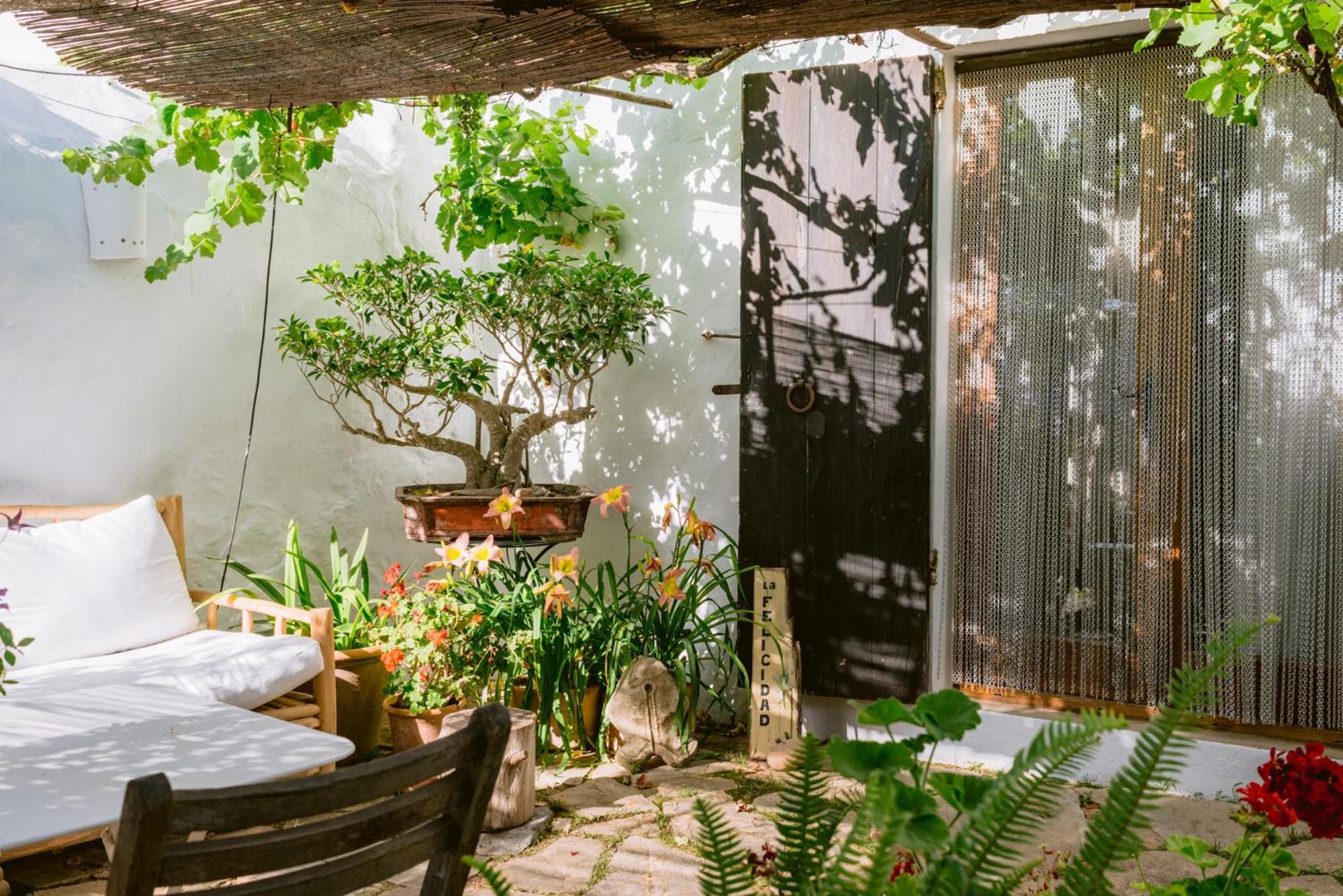 Can Quince Balafia Ibiza Hotel - Turismo De Interior Сан-Льоренс-де-Балафіа Екстер'єр фото