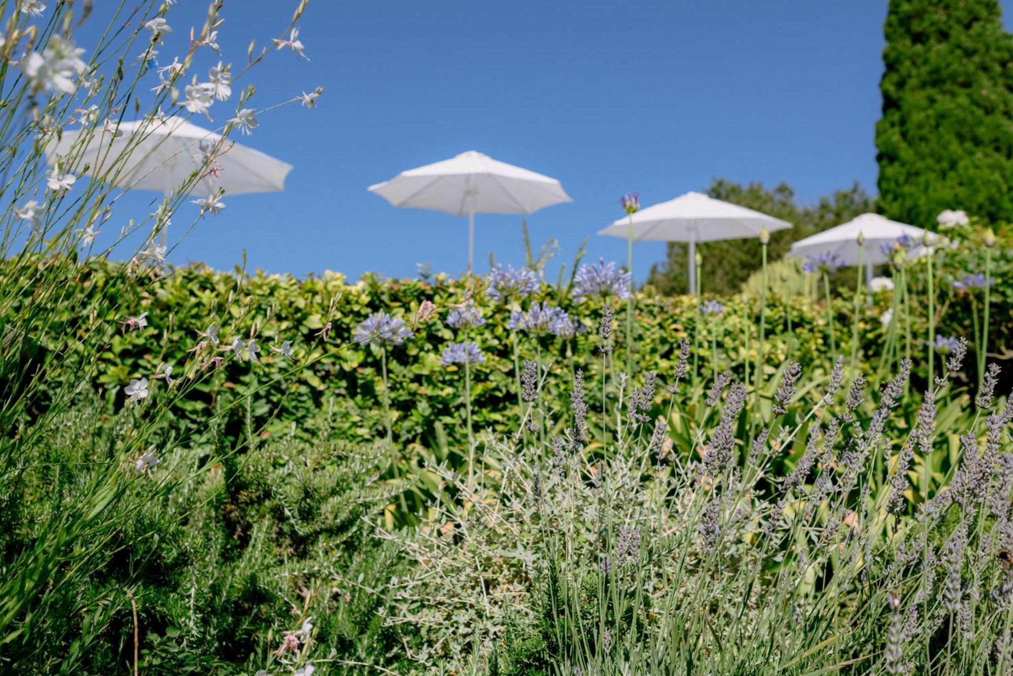 Can Quince Balafia Ibiza Hotel - Turismo De Interior Сан-Льоренс-де-Балафіа Екстер'єр фото